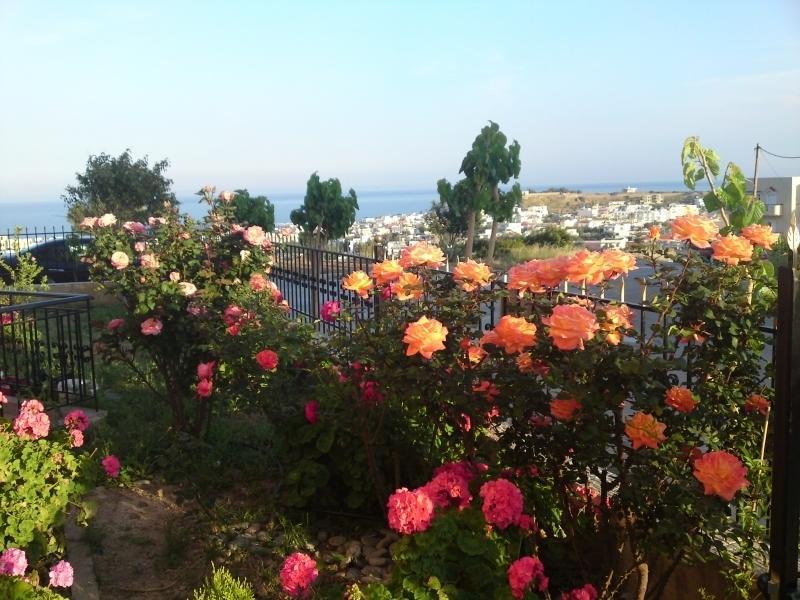 شقة Margarita Αpartments Sea View باليوخورا الغرفة الصورة